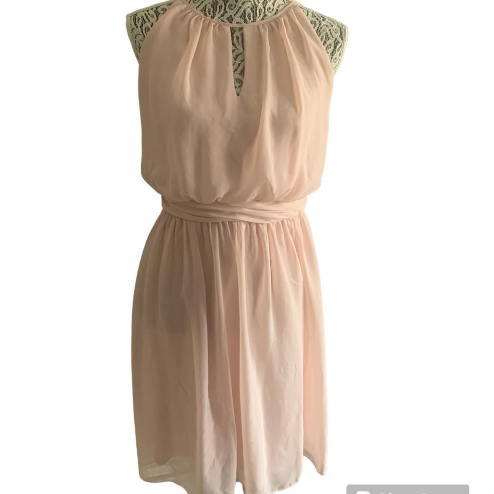 Adrianna Papell Blush Pink Dress